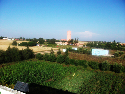 Vue agricole du Douar Derssat Bouhmama