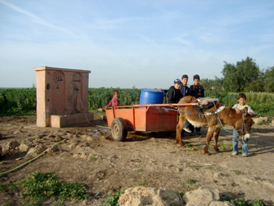 Habitants du douar se déplaçant en charrette